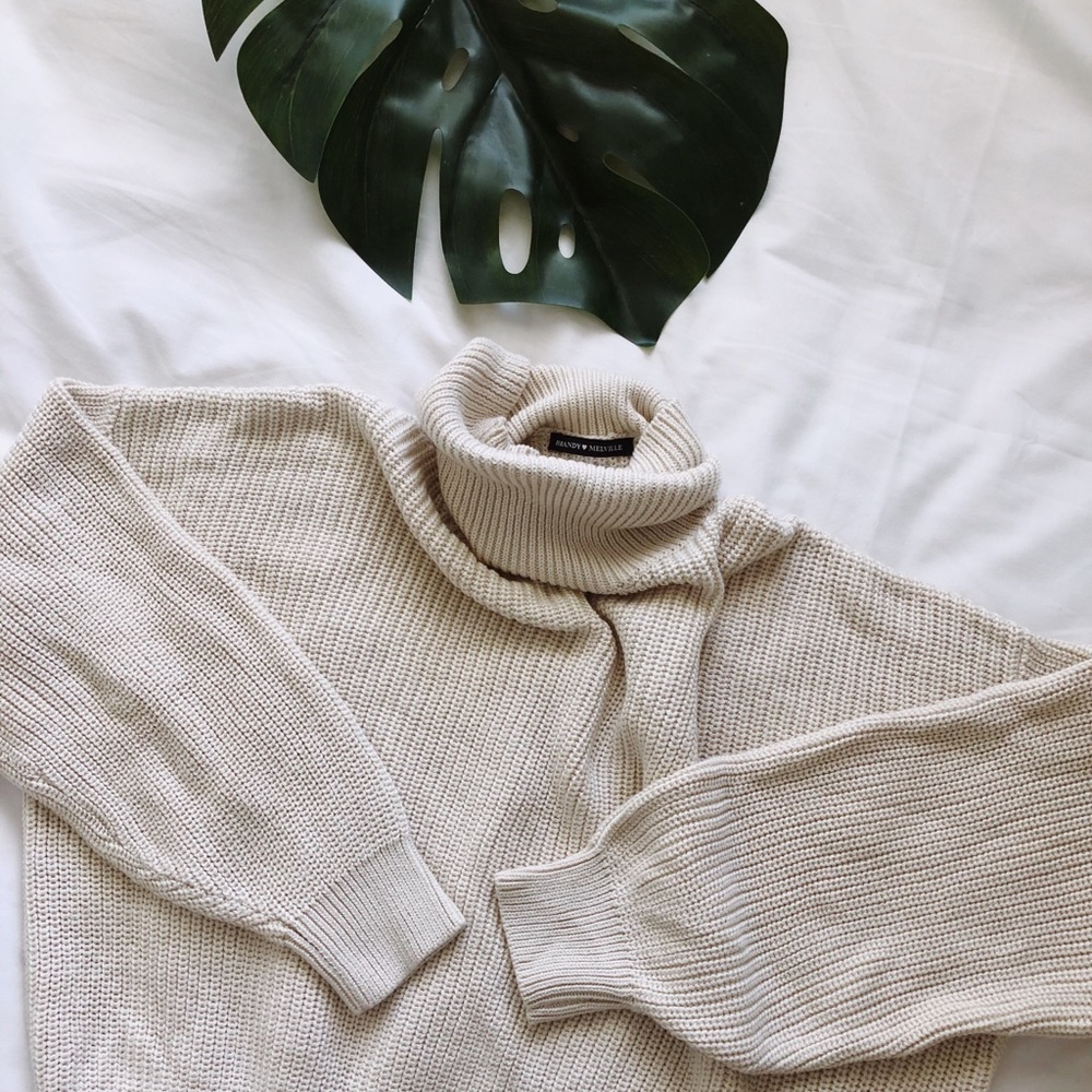Brandy Melville Brianna Turtleneck 🐢